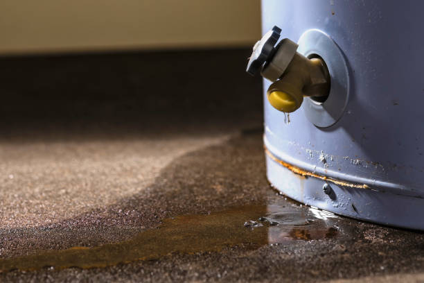 Professional Water damage restoration in Opelika, AL
