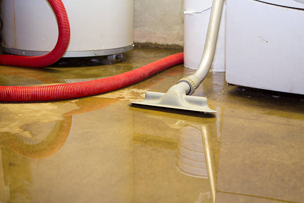 Best 24-hour water damage restoration  in Opelika, AL