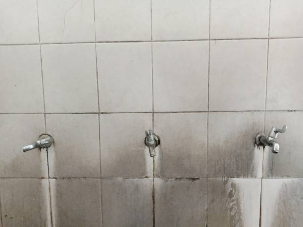 Best Fire Damage Restoration  in Opelika, AL
