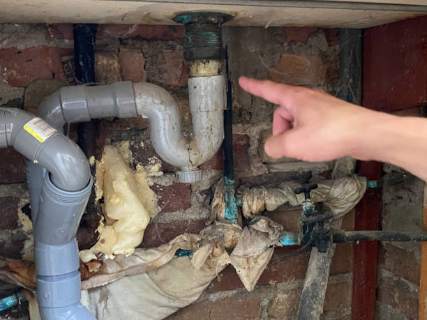 Best Water damage contractors near me  in Opelika, AL